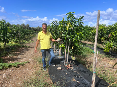 Mango Keitt