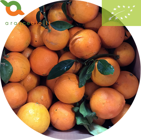 Organic Navel Oranges