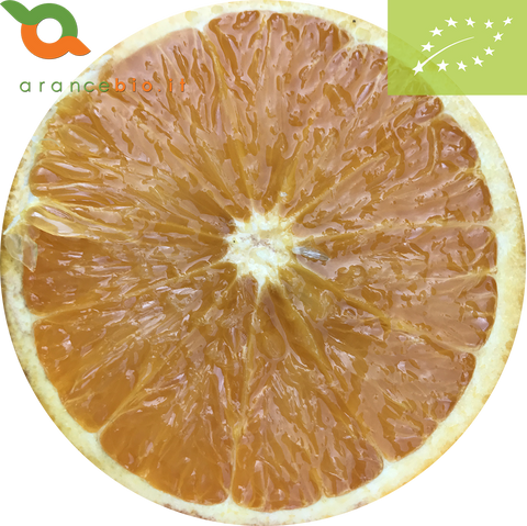 Late Blond Oranges