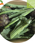 9 Carciofi Biologici, varietà opal. 