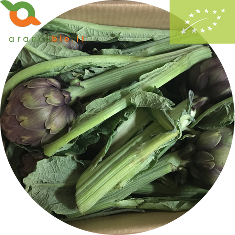 Organic Artichokes