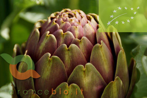 Carciofi Bio