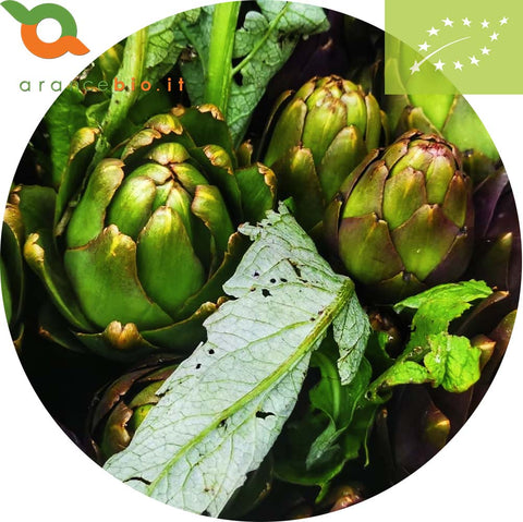 Carciofi Violetto di Sicilia