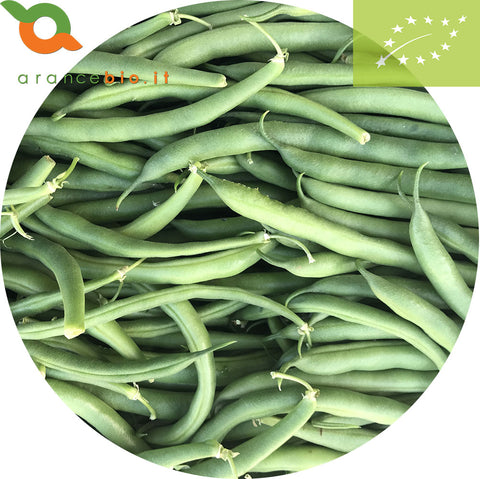 Fagiolino Bio