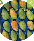 Fichidindia
