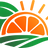 Arance Bio di Sicilia Online logo
