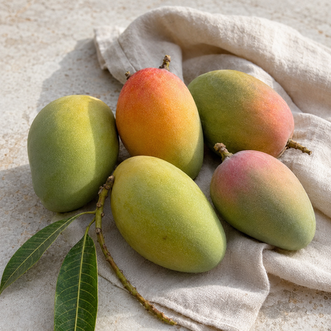 Mango Glenn Bio