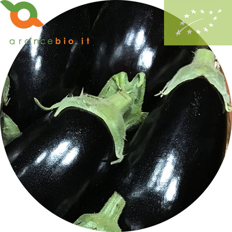 Melanzana nera Biologica