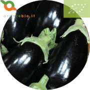Melanzane