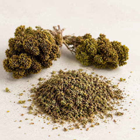 Origano selvatico di bosco