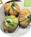 Pomodoro cuore di bue Biologico