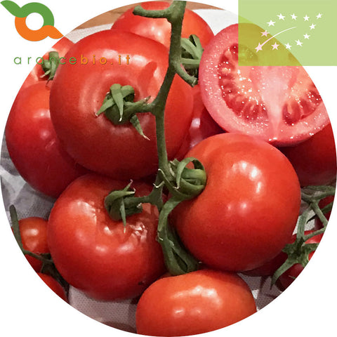 Pomodoro a grappolo Biologico